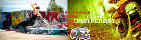 spice Белокуриха