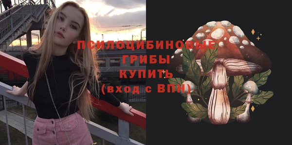 spice Белокуриха