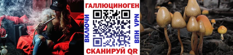 Купить где  Верхоянск  Псилоцибиновые грибы GOLDEN TEACHER 